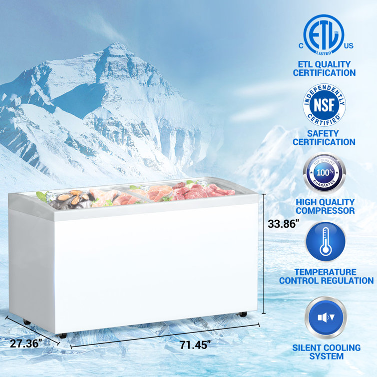 Egles 20 Cubic Feet Ice cream Freezer Wayfair Canada